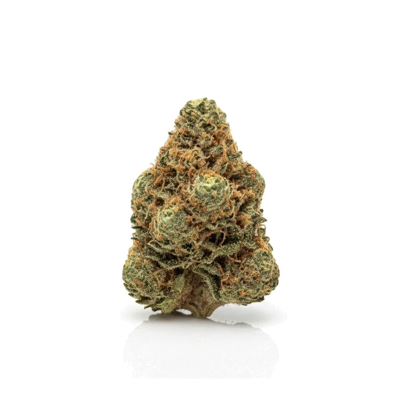 BUDZA 24/1 White Runtz, Produktfoto Ansicht 1