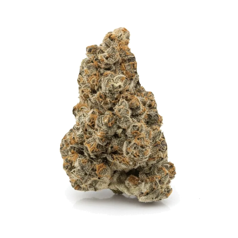 Rainbow Sherbet, Cannabisblüte